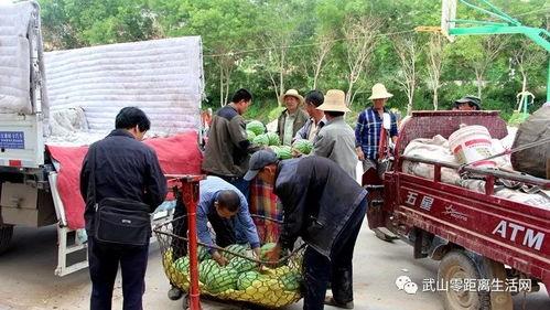 康县吃瓜群众事件视频,一场网络舆论的风暴与反思