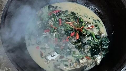 最新午餐吃瓜视频,吃瓜视频带你揭秘娱乐圈最新热点