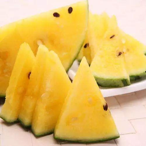 吃瓜视频都哪里看