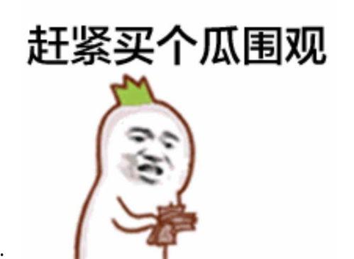 狠人吃瓜群众是谁啊视频