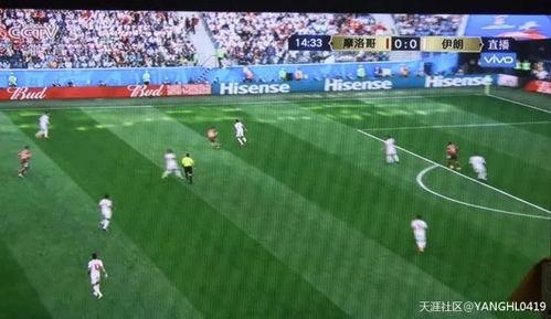 韩国足球吃瓜群众视频在线观看,吃瓜群众视角下的在线观战盛况