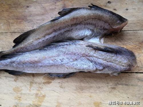 吃瓜群众的鱼完整视频播放,一场视觉盛宴的幕后故事