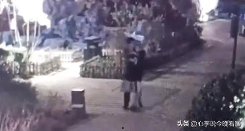 朝阳吃瓜视频完整版