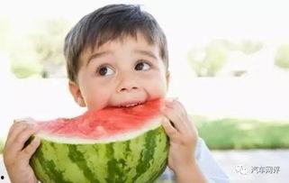 吃瓜的最佳境界视频,视频揭秘瓜界秘籍